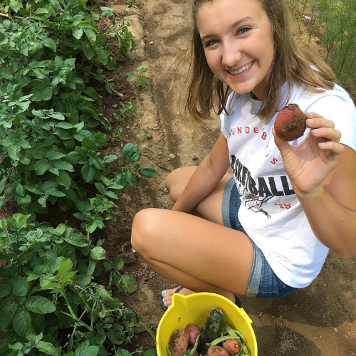 Our daughter picking new potatoes straight from the garden
how to start a vegetable garden for beginners