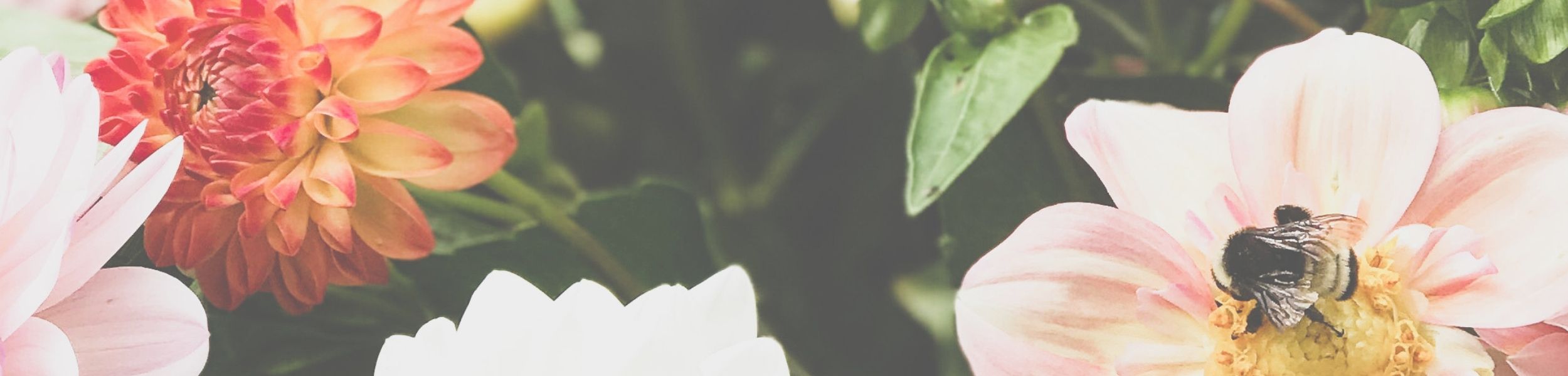 Home Slider. Edwards Farmstead